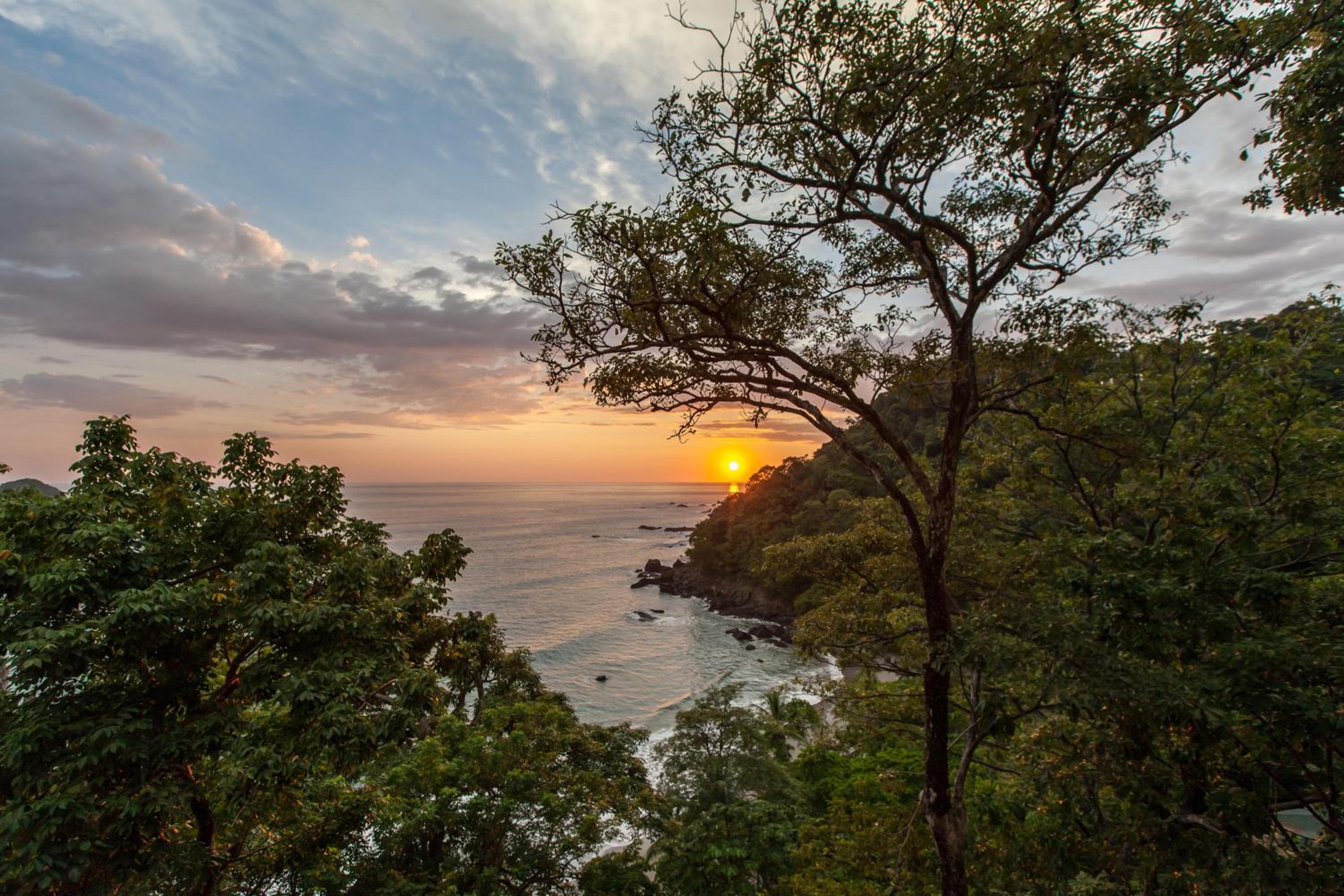 Arenas Del Mar Beachfront & Rainforest Resort Member of the Cayuga Collection
