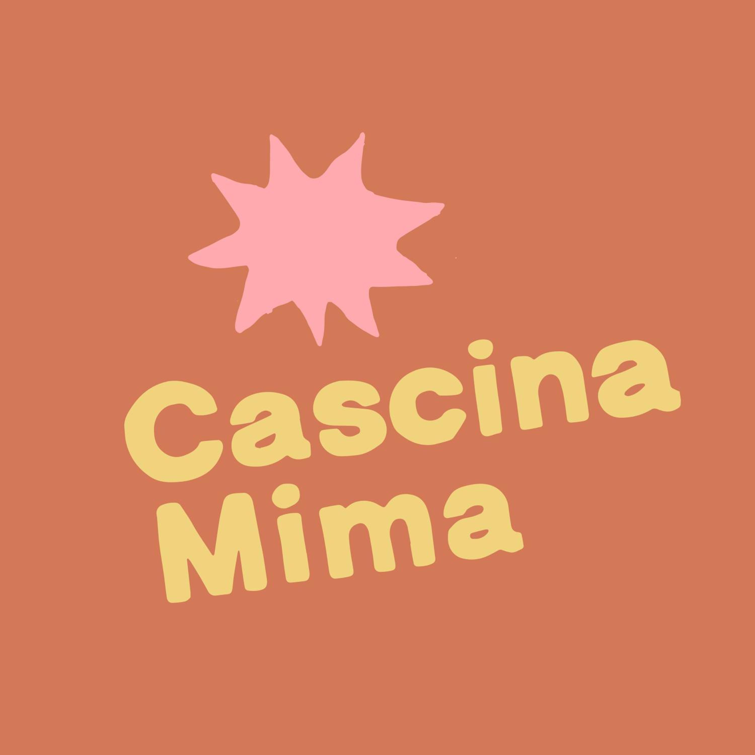 Cascina Mima - Monferrato view 4