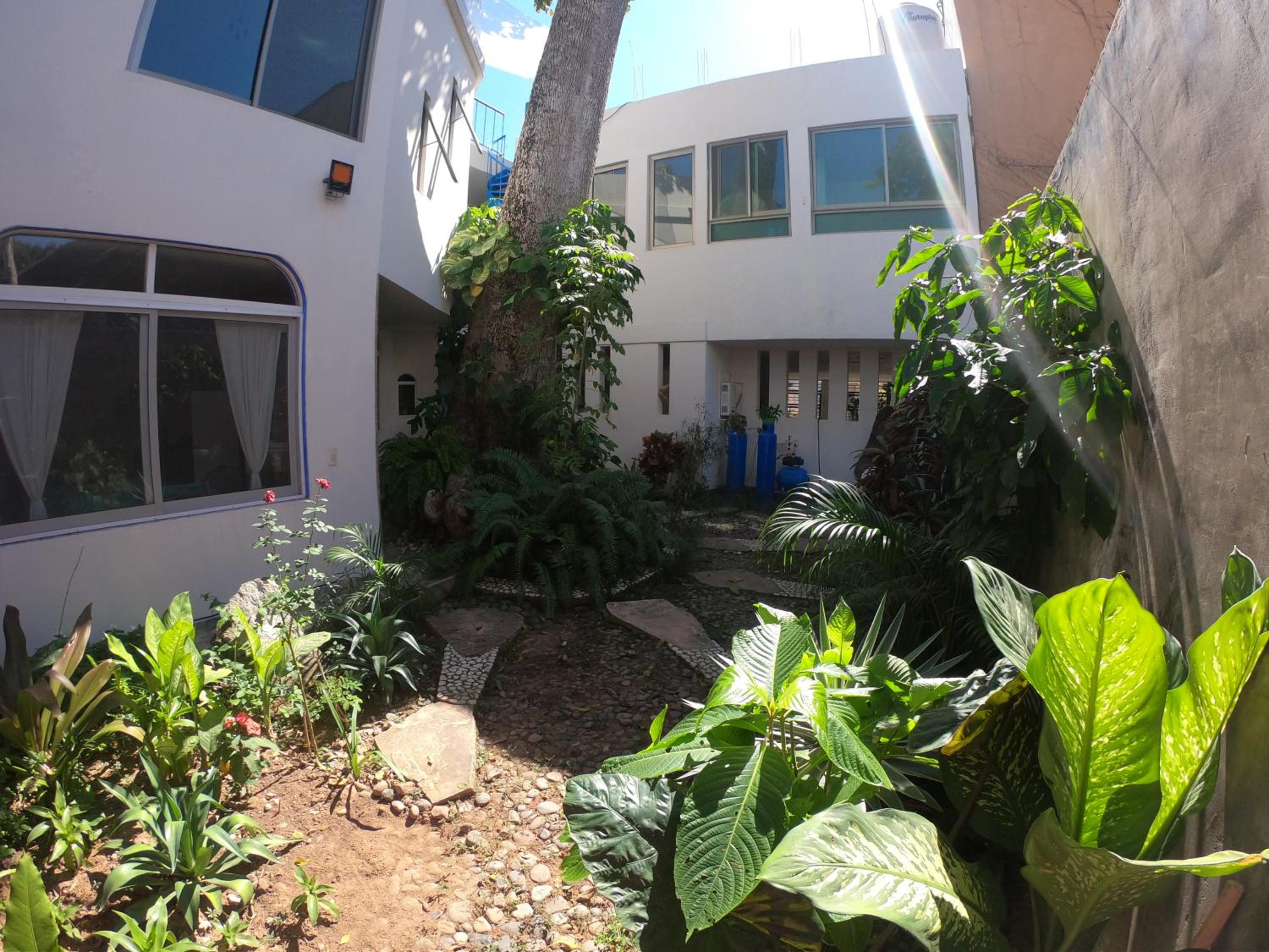 Casa Arbol de Paz view 4