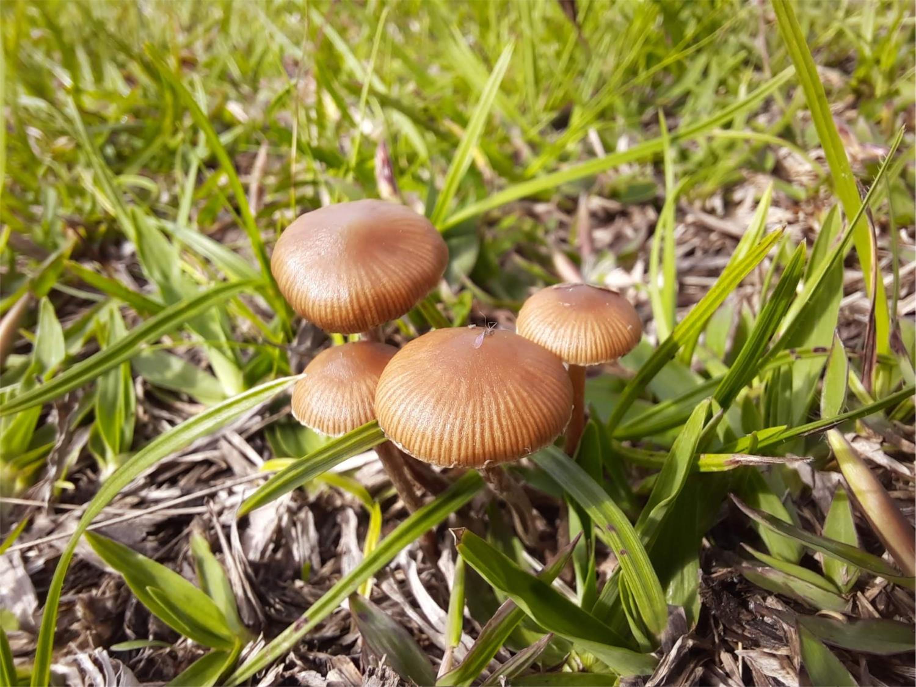 Photo 56