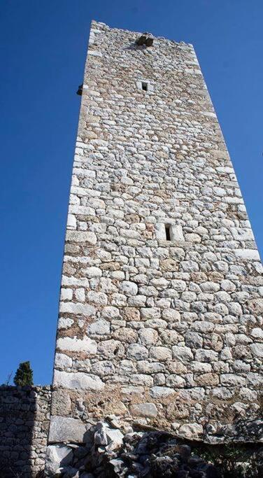 Poliana Tower