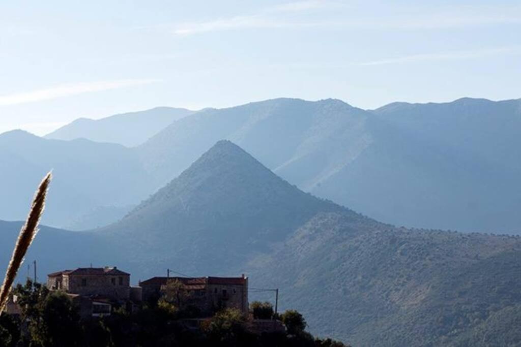 Poliana Tower