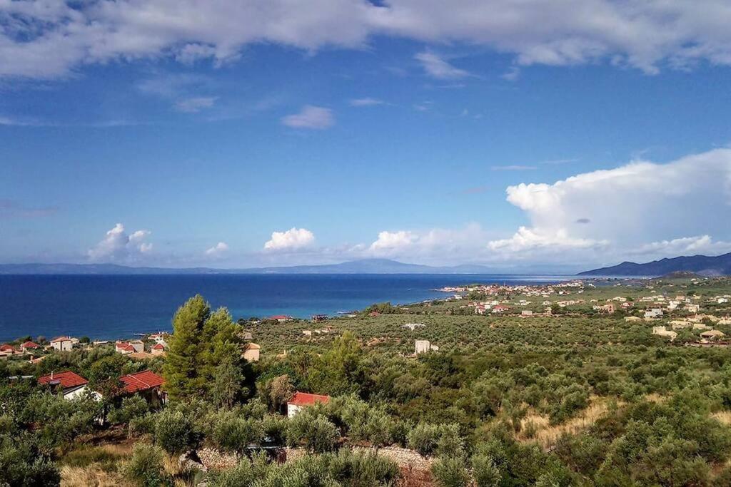 Poliana Tower