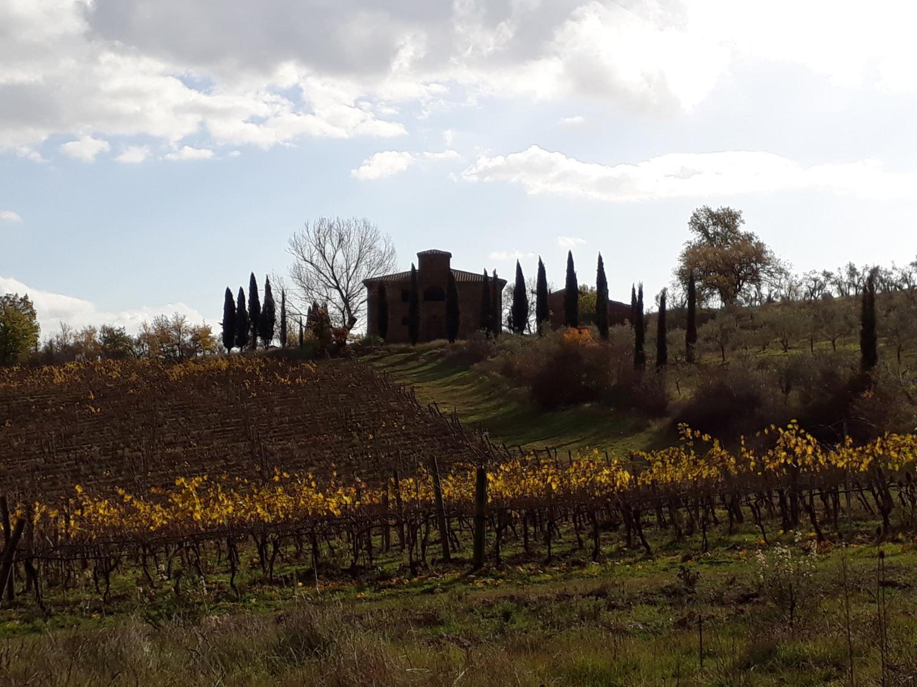 Podere Pievina Delle Corti - Dimora di Campagna