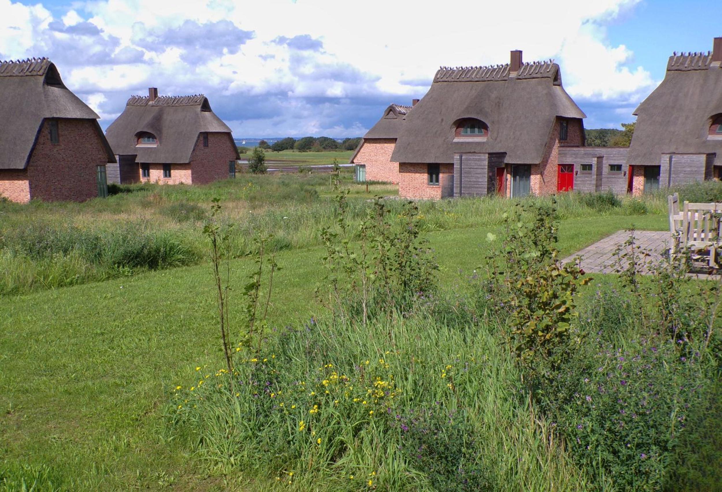 Reetdorf Geltinger Birk Malerhaus Hochmoor