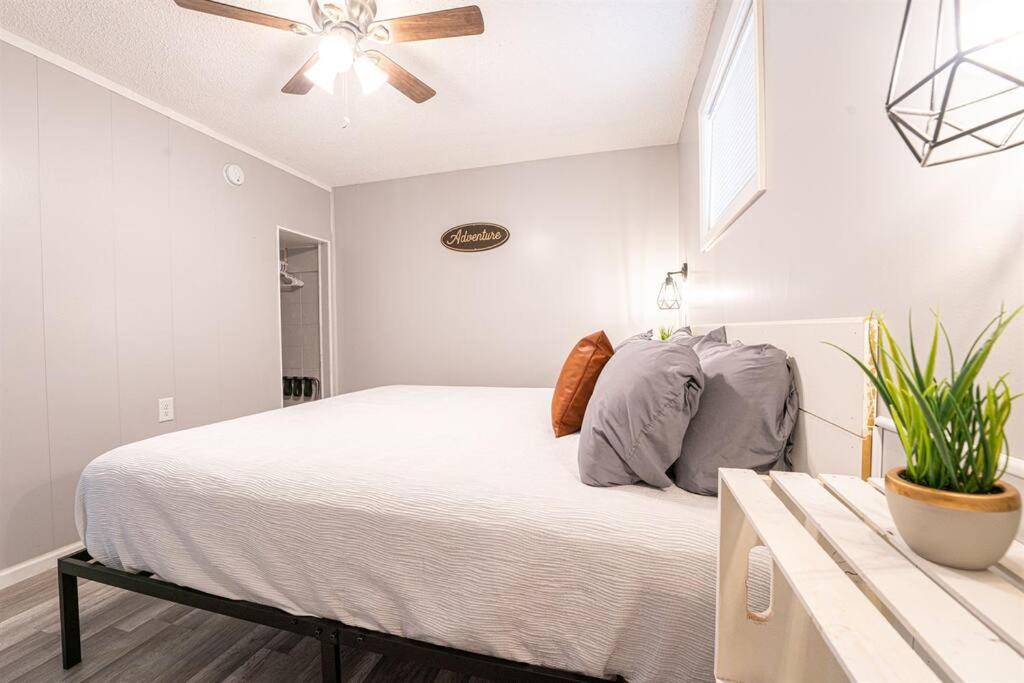 Tribesman #6 - Peetz Place - near Silver Dollar City view 5