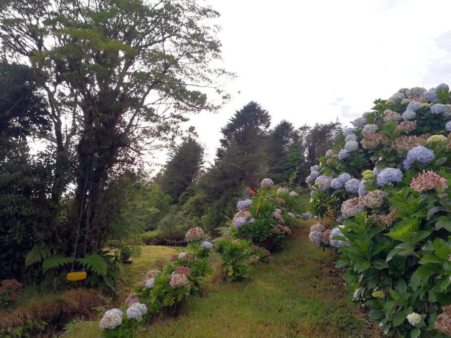 La Cabaña