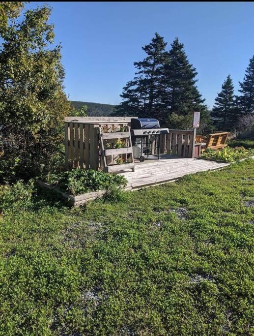 Whale House Guest House