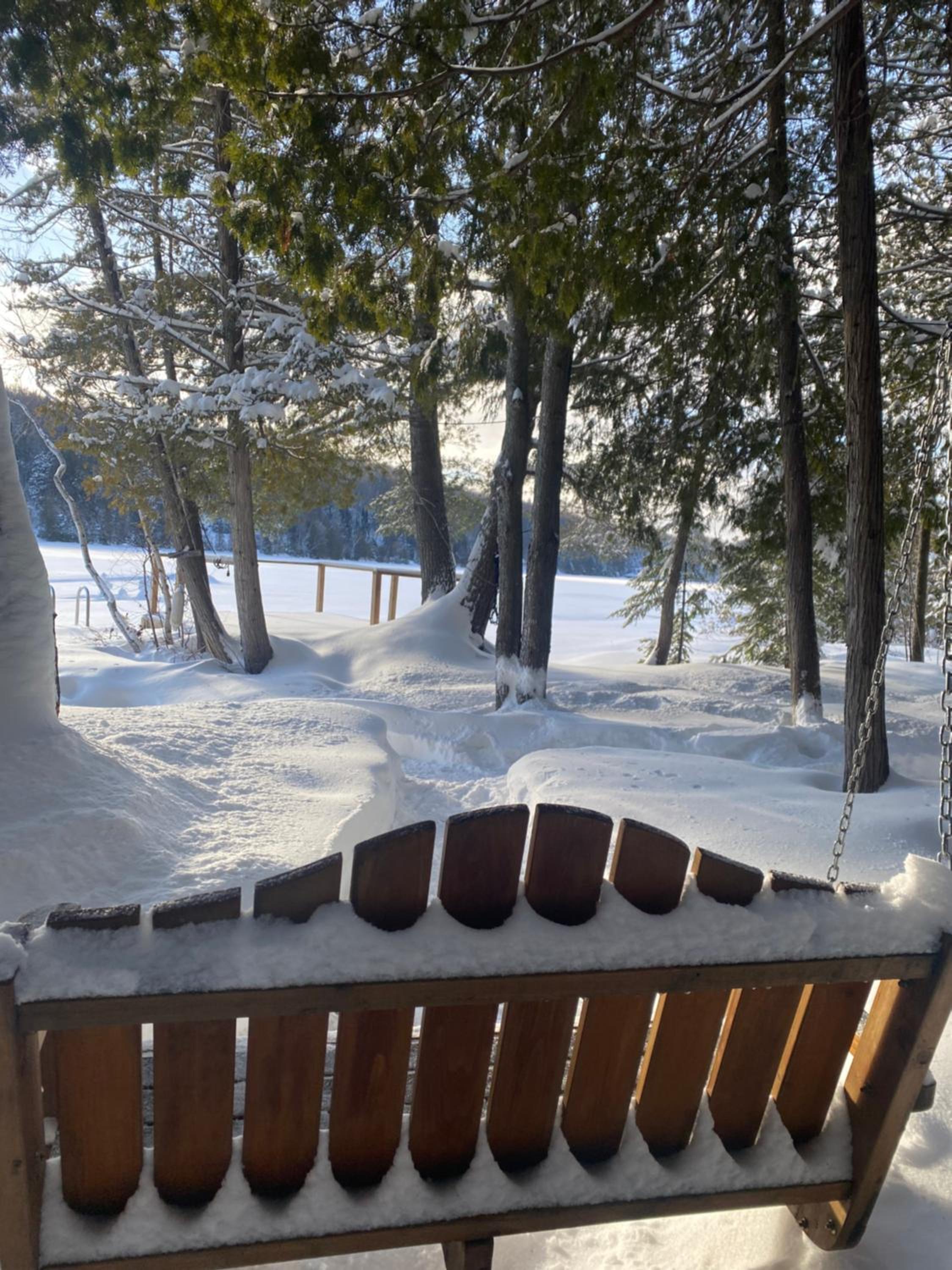Serendipity Hideaway Spring Lakefront Gem SUPs & Boats - Firewood Included, 10 on 10