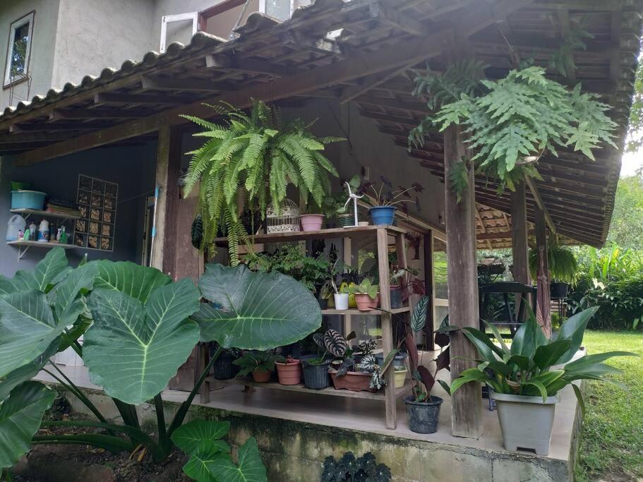 Casa com Quintal Ideal para o Pet e Churrasqueira