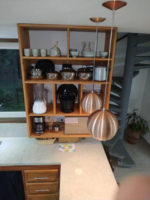Casa com Quintal Ideal para o Pet e Churrasqueira
