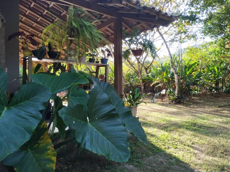 Casa com Quintal Ideal para o Pet e Churrasqueira