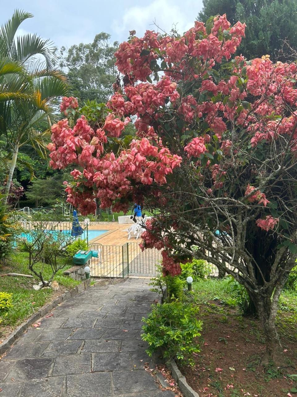 Apart em Miguel Pereira