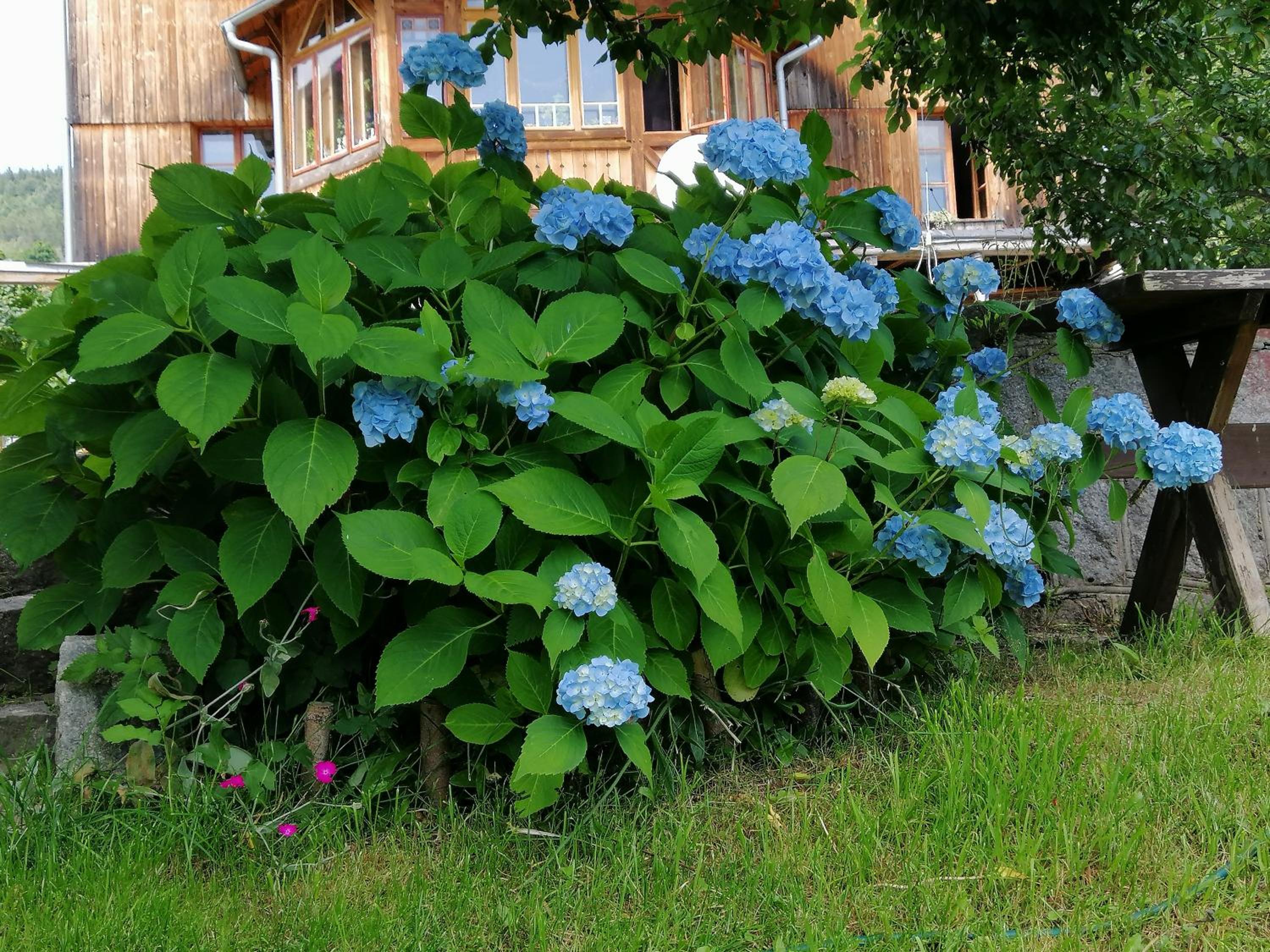 Photo 25