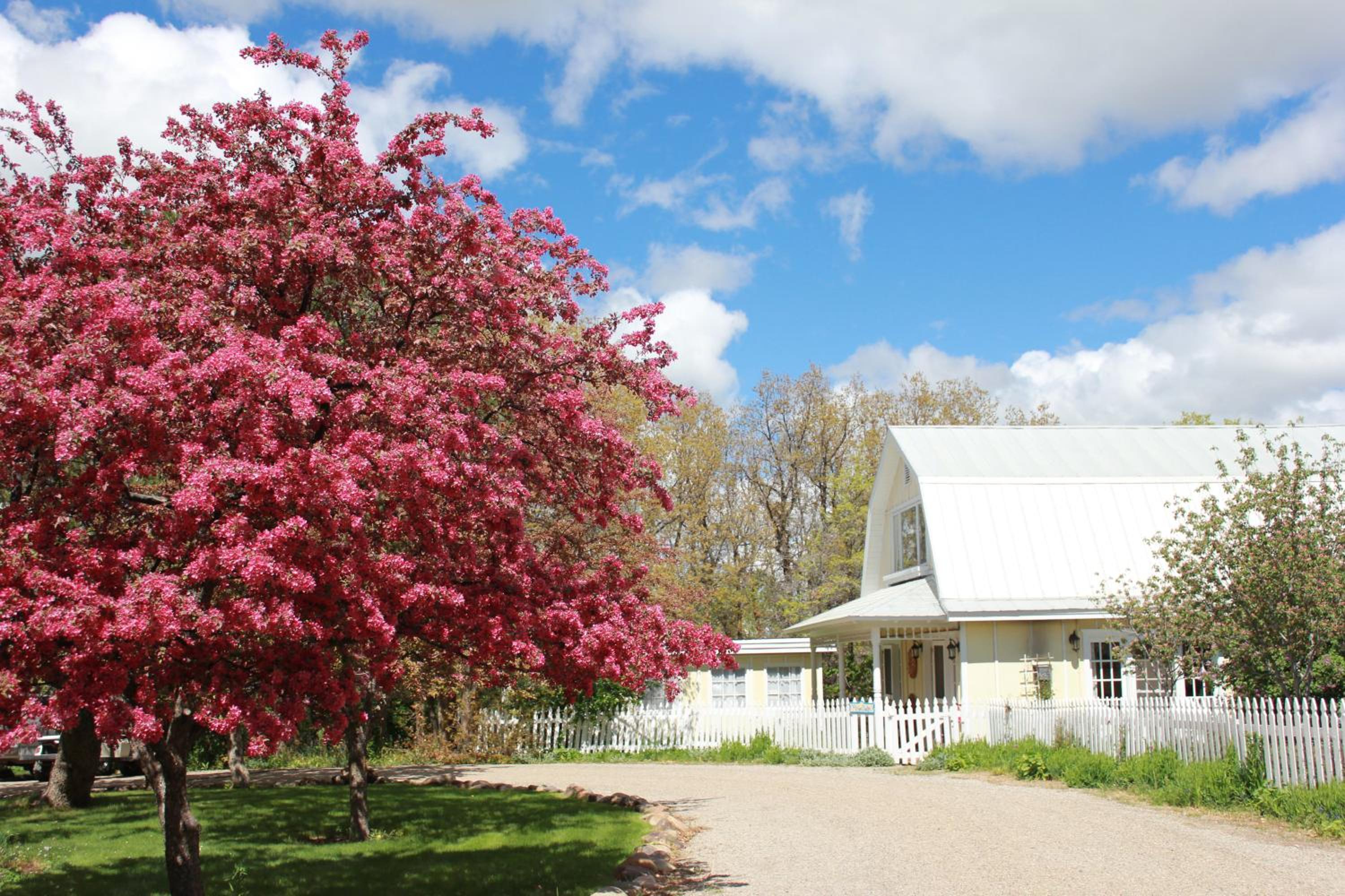 Blue Lake Ranch