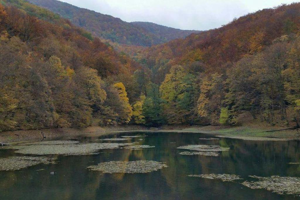 Paloc Manor Vendeghaz Nagyvisnyo Romantic Heritage Guesthouse on the creek Nagyvisnyo