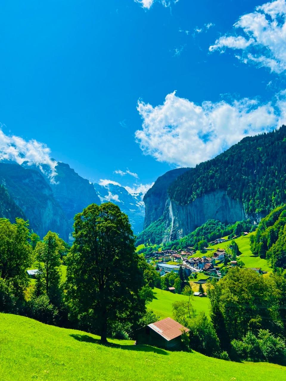 Chalet Rosa B&B