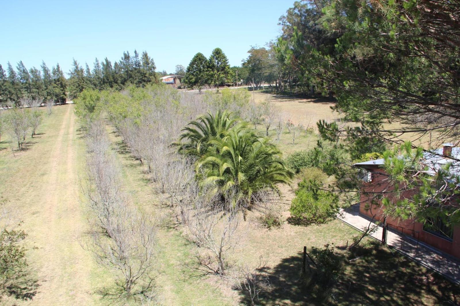 Los Almendros