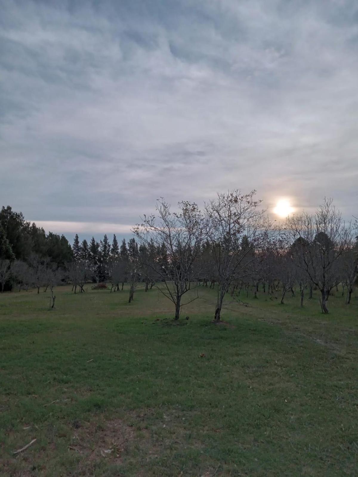 Los Almendros
