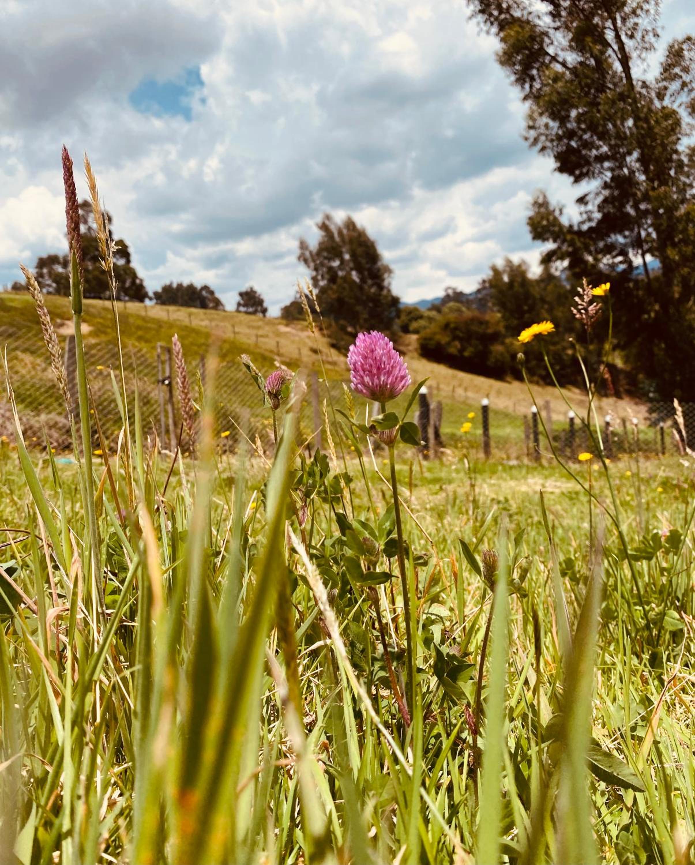 Glamping Cabaña El Quijote Zipaquira
