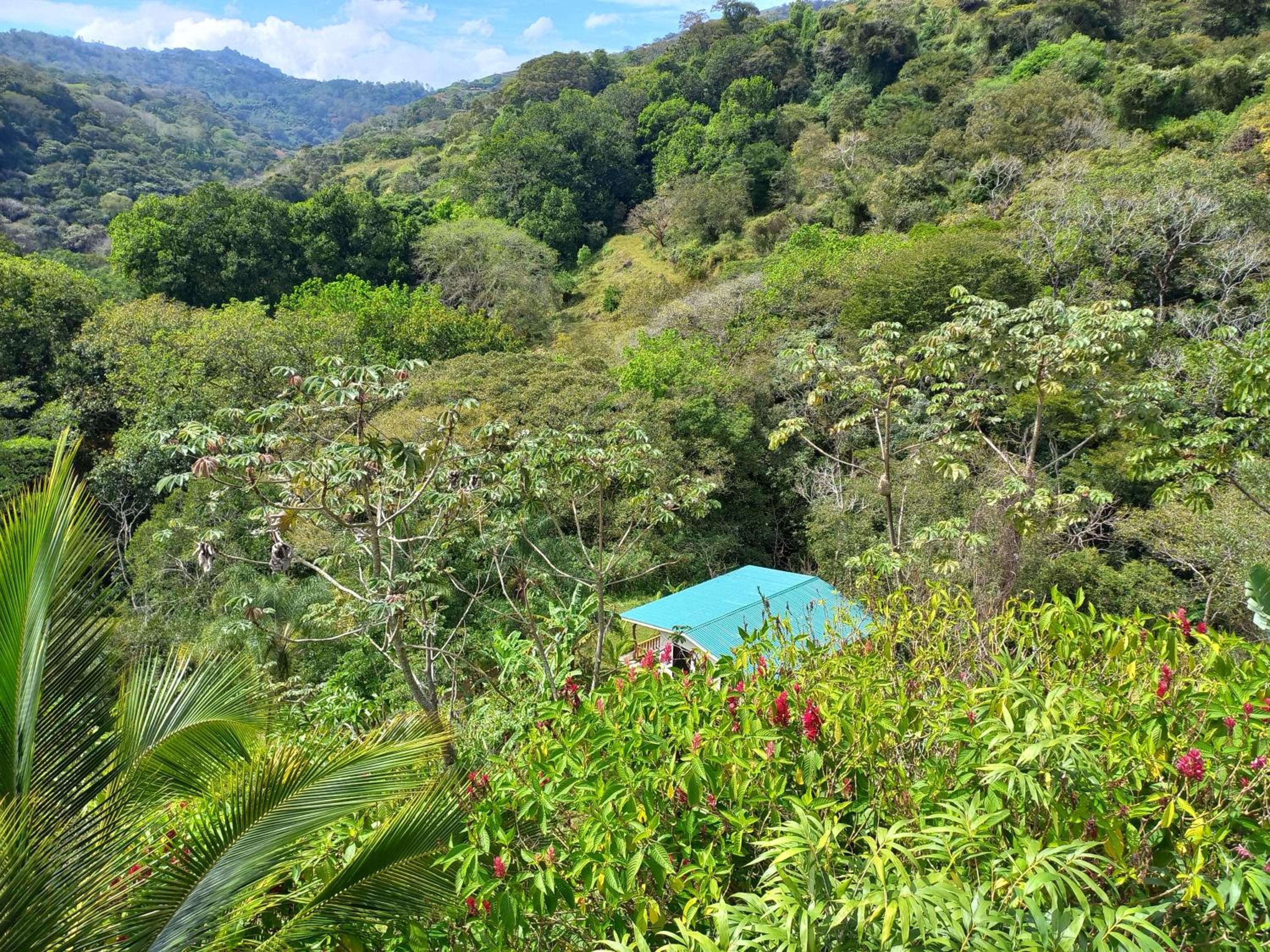 Casa el Colibrí
