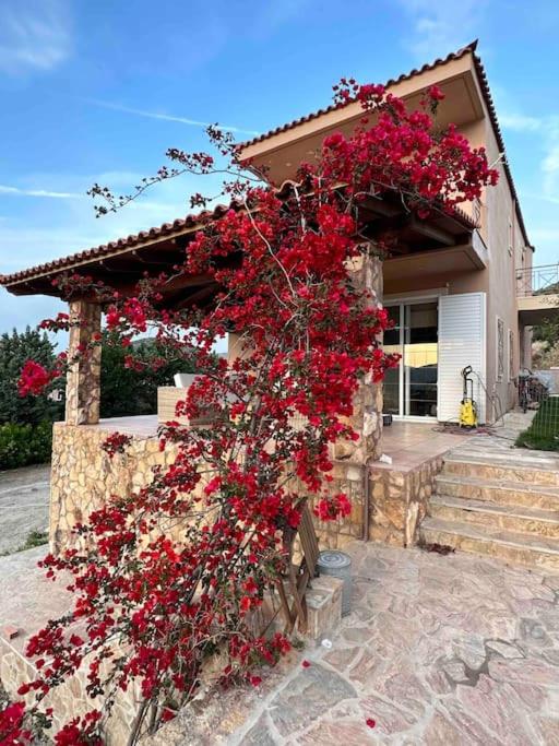 Escape pool villa in Anavissos