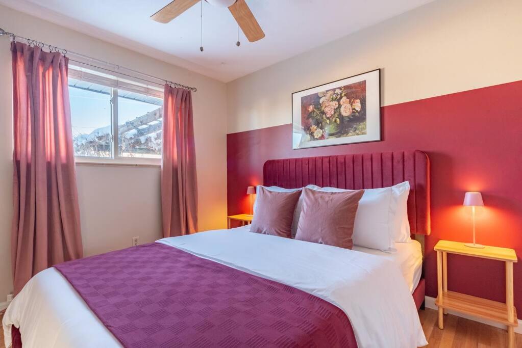 Downtown Denver: 4bd - Game/Movie Room - Backyard view 2