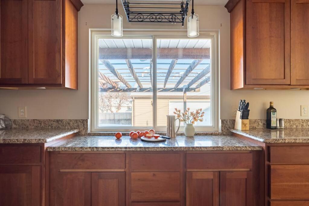 Downtown Denver: 4bd - Game/Movie Room - Backyard view 3