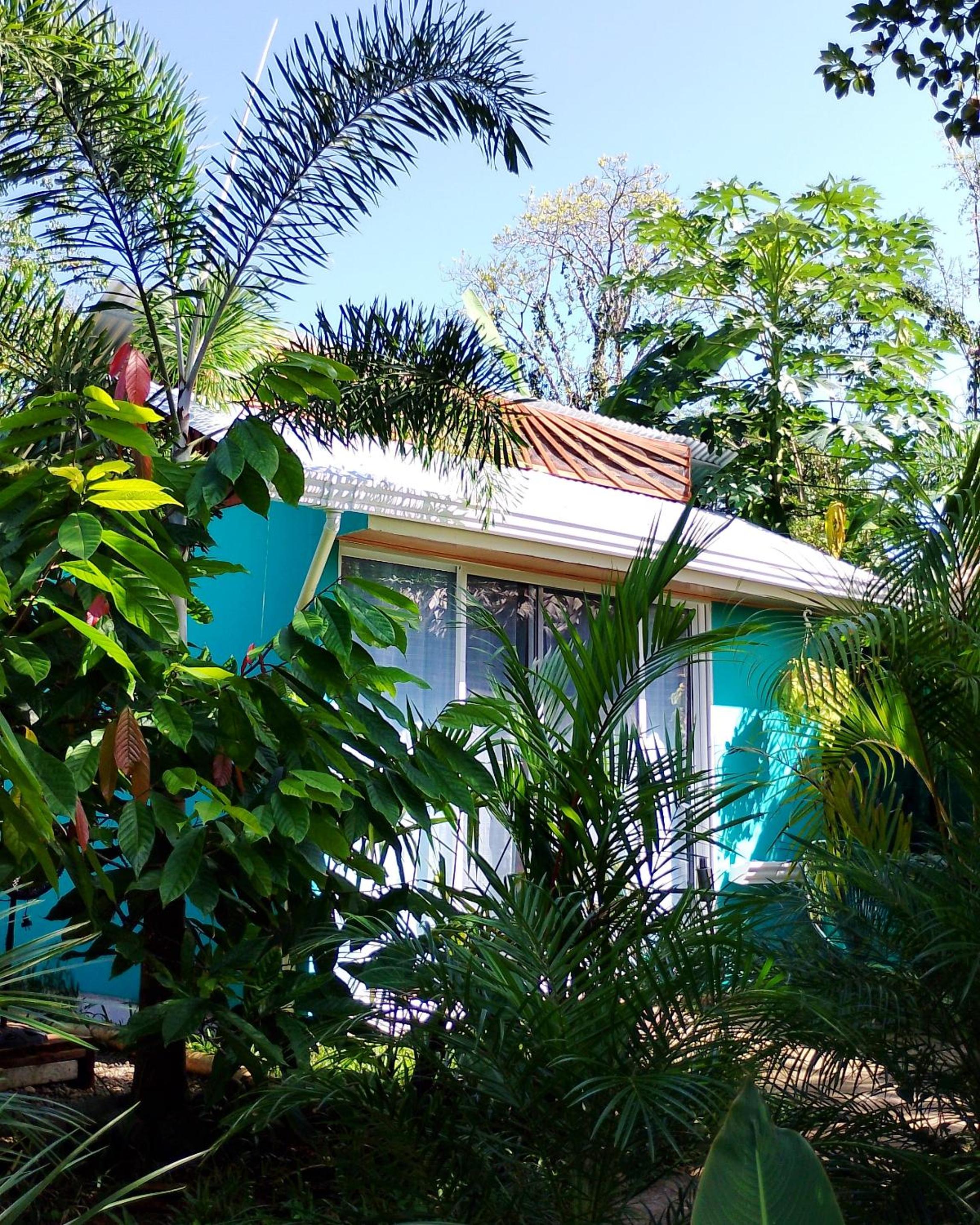 El Tucan Feliz - Boho Jungle Tiny Guest House & Mini Pool Oasis