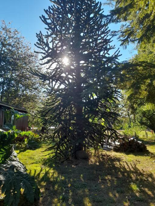 Cabaña El artesano Puyehue