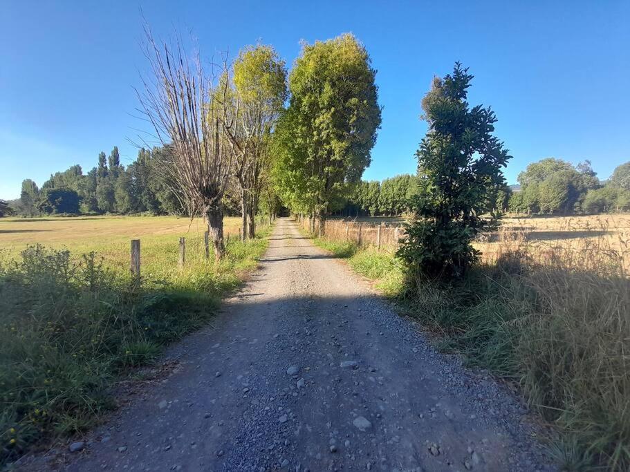 Cabaña El artesano Puyehue