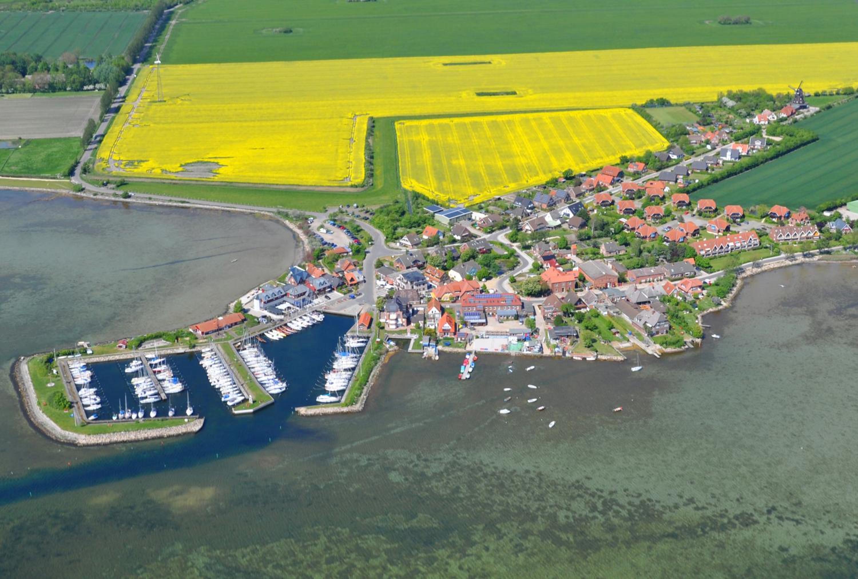 Ort Lemkenhafen Möwe