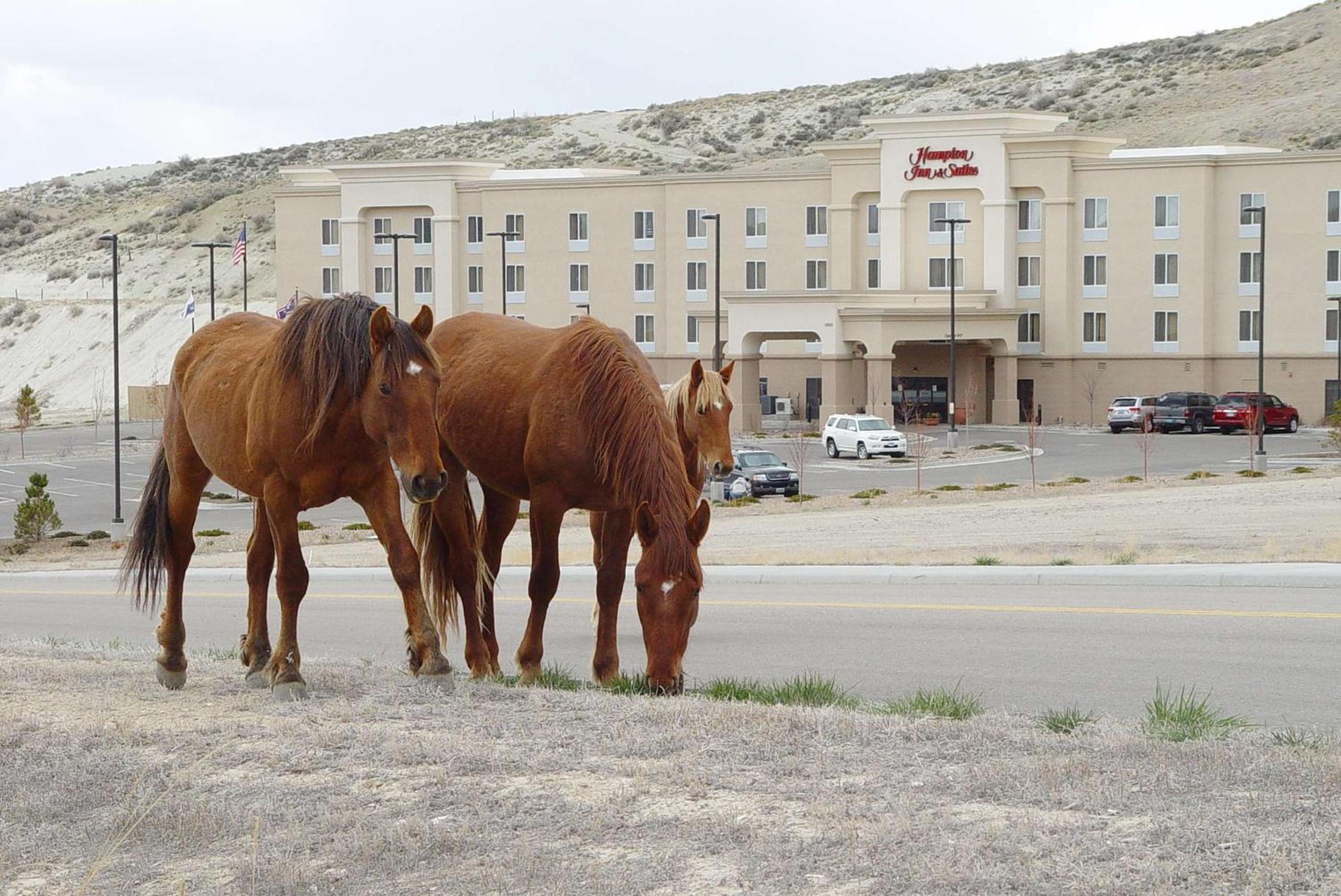 Rock Springs Vacations - Hampton Inn  Suites Green River - Property Image 2