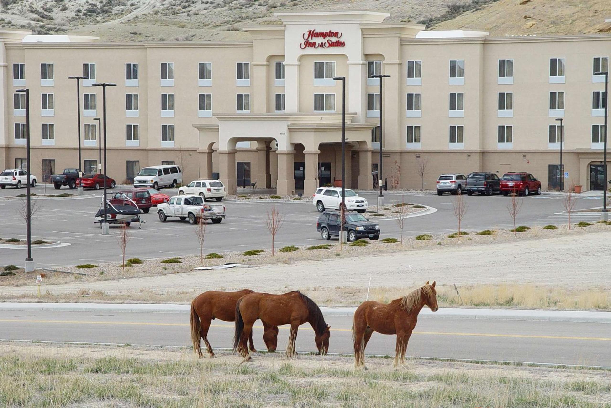 Rock Springs Vacations - Hampton Inn  Suites Green River - Property Image 3