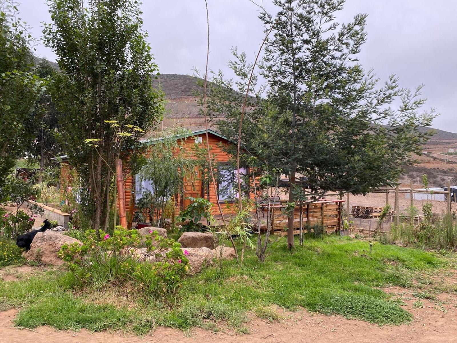La Serena Casa Cabaña de campo entre cactus y colibríes