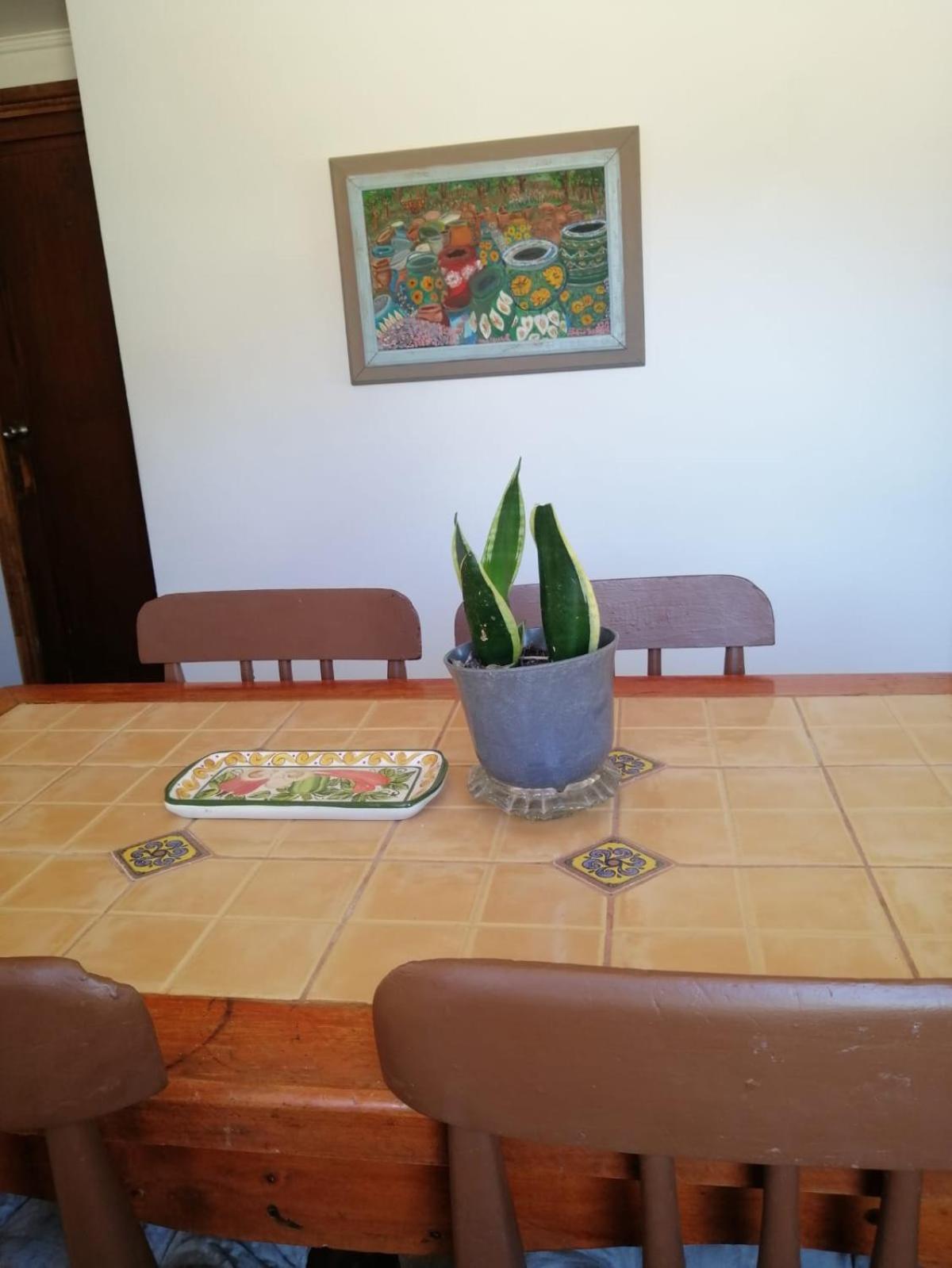 La Serena Casa Cabaña de campo entre cactus y colibríes