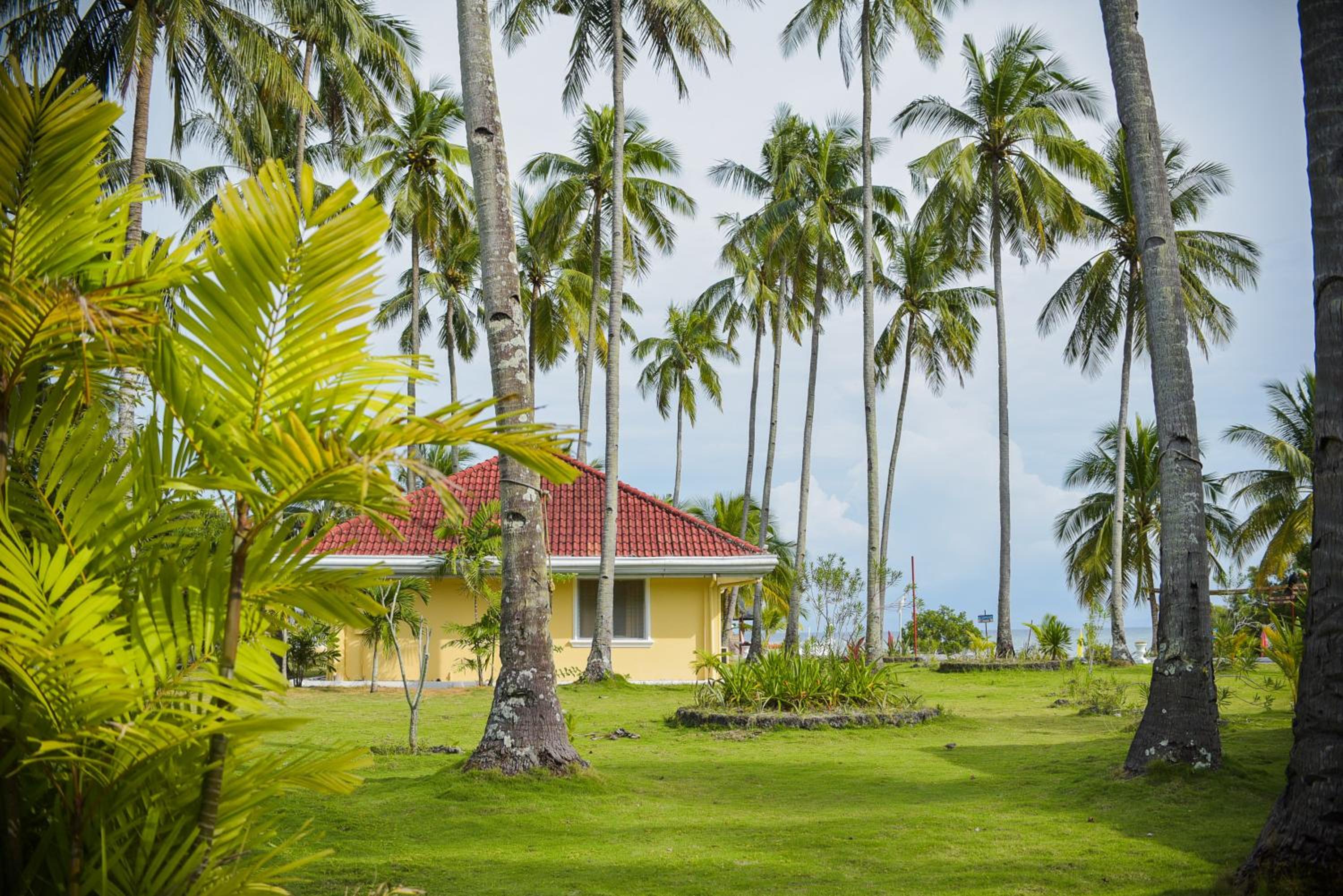 Sipaway Island Resort Inc Former Whispering Palms Resort