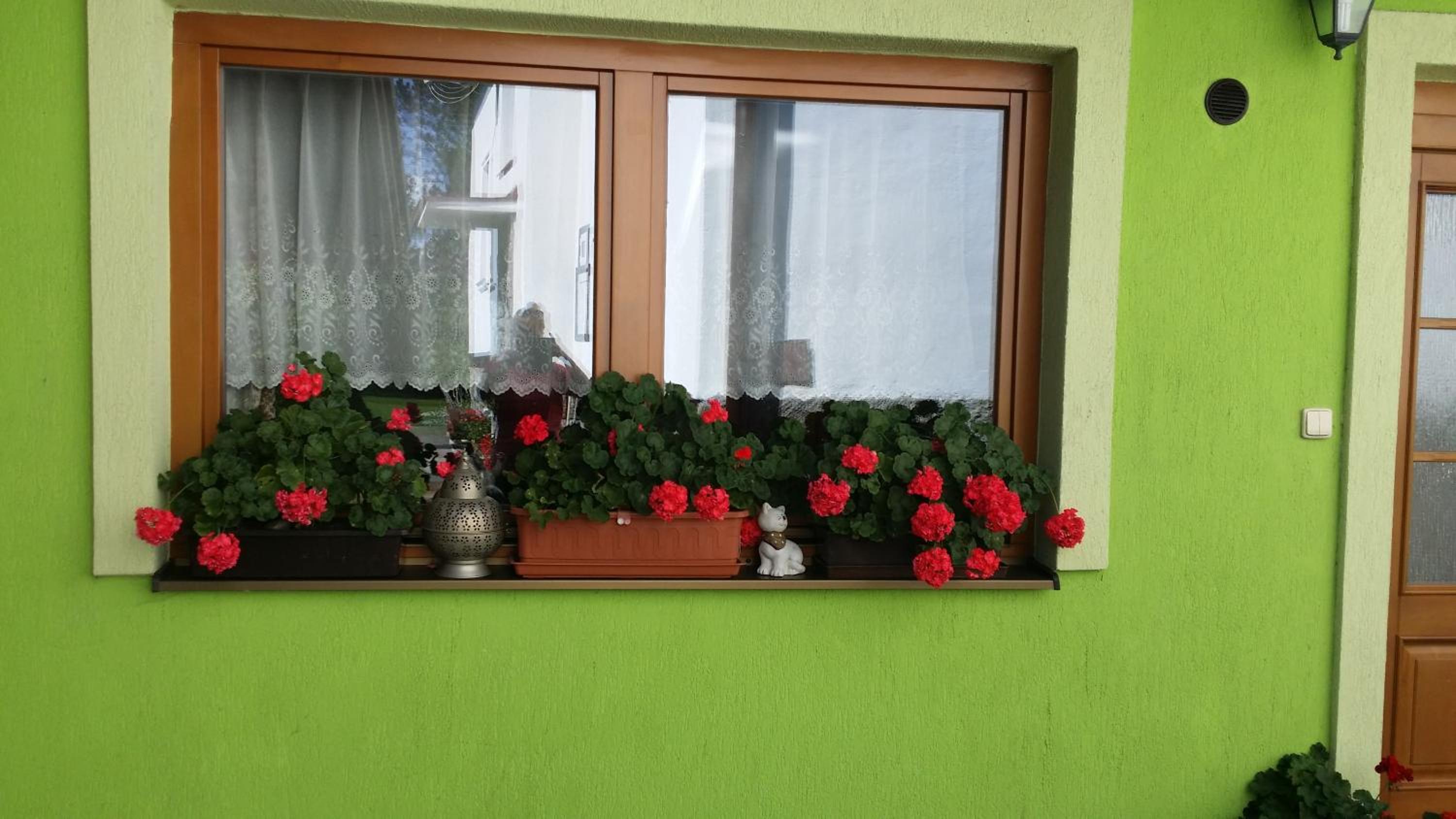 Photo 37
