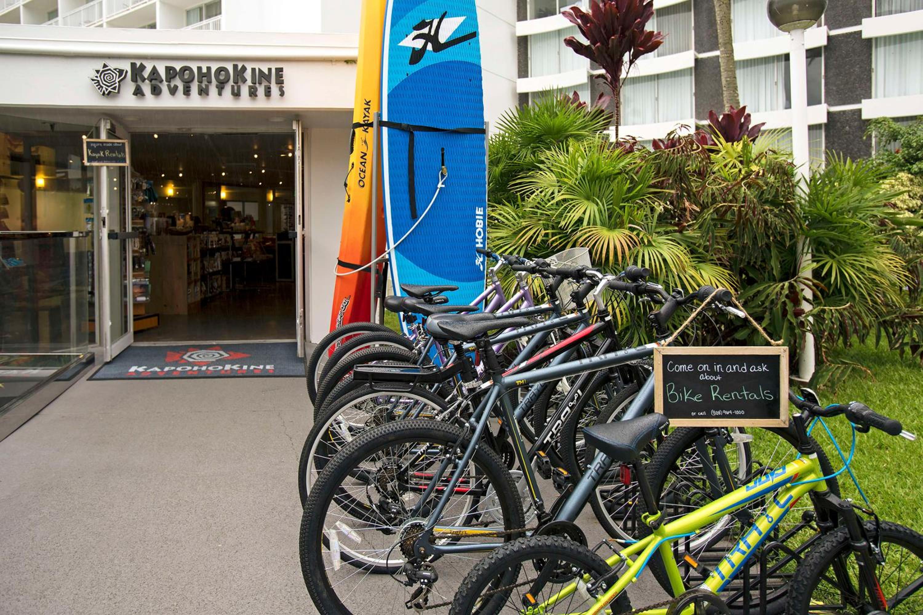 Big Island Vacations - Grand Naniloa Hotel, a Doubletree by Hilton - Property Image 3