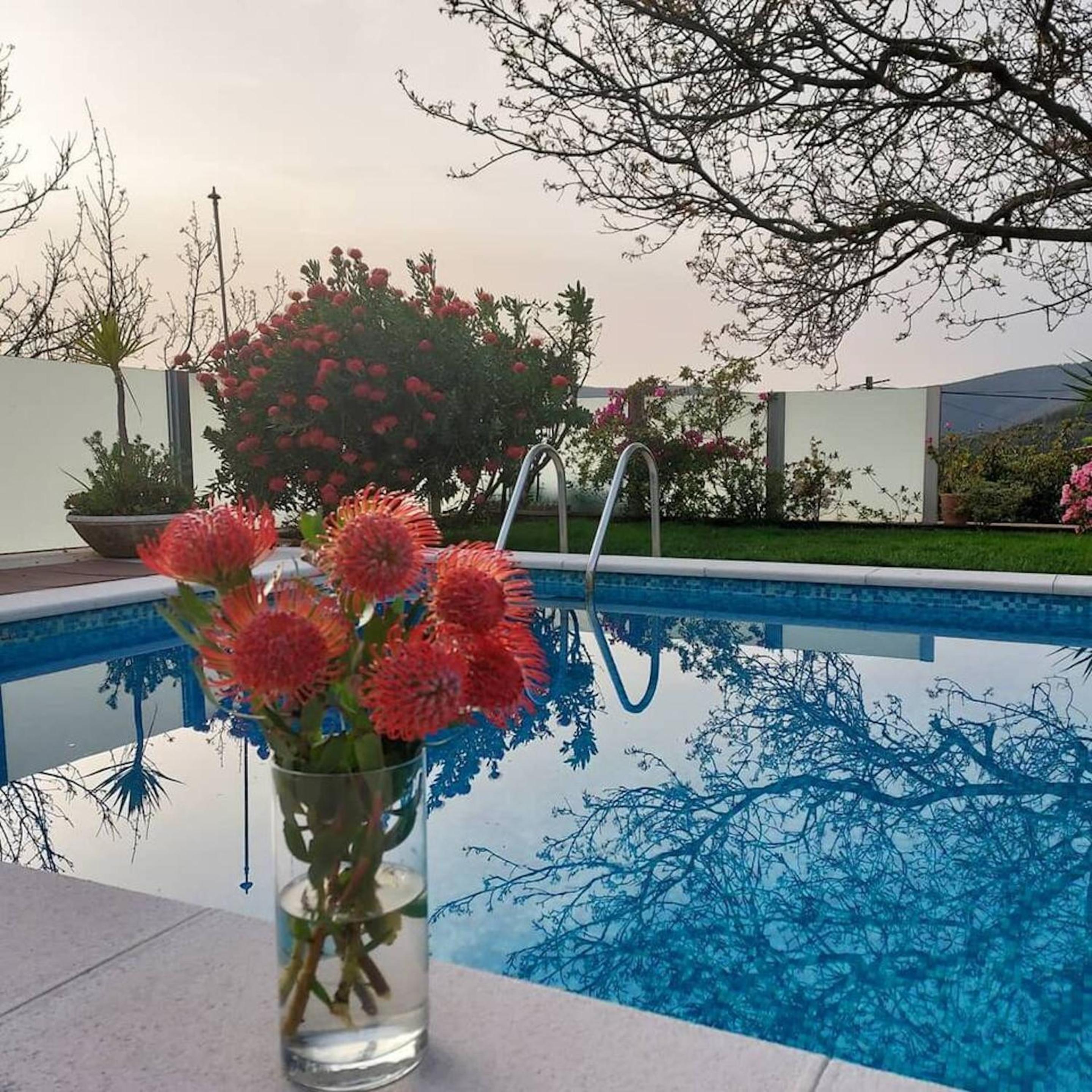 Charming House in Agueda with Private Pool view 3