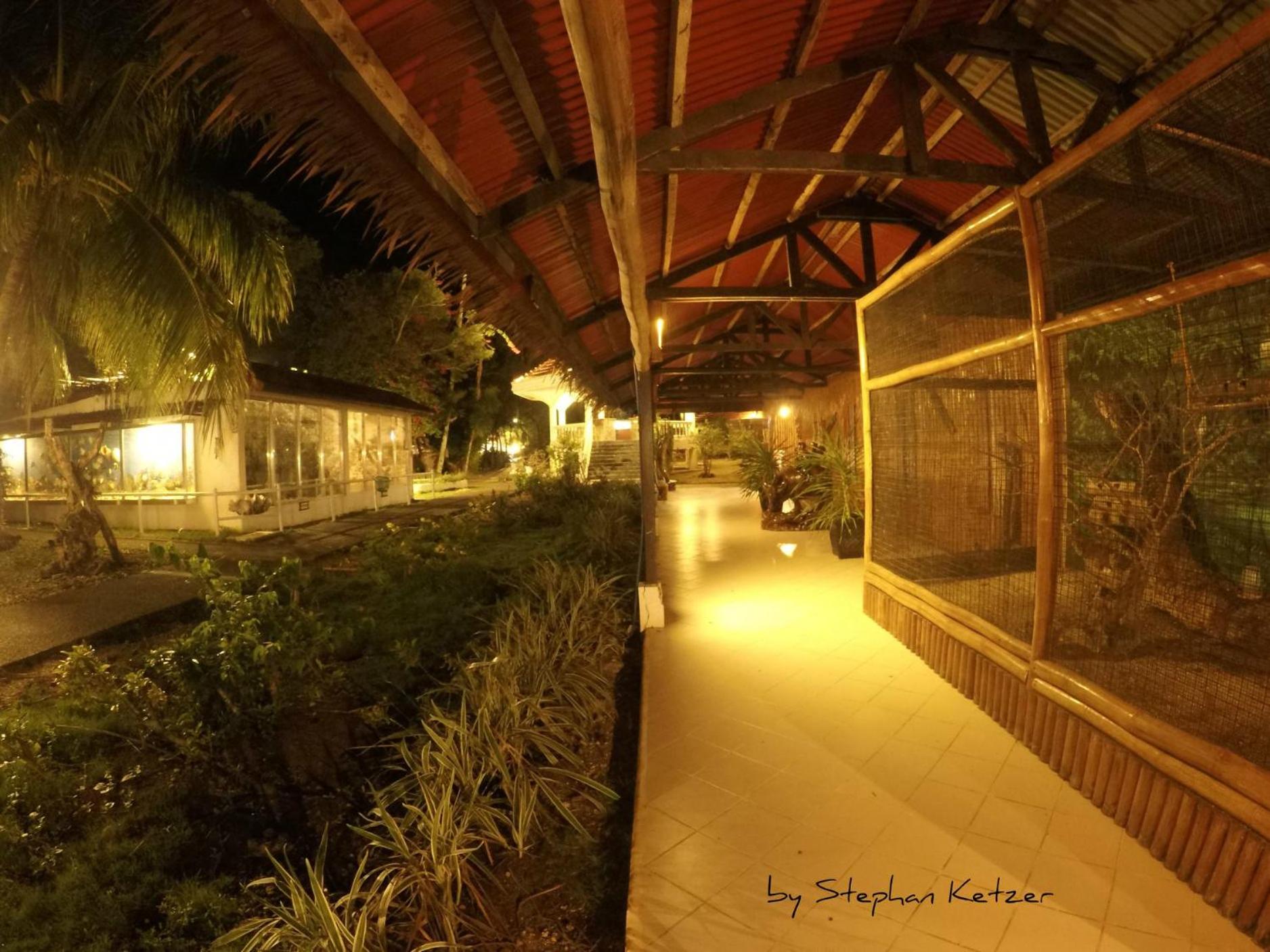 Sipaway Island Resort Inc Former Whispering Palms Resort
