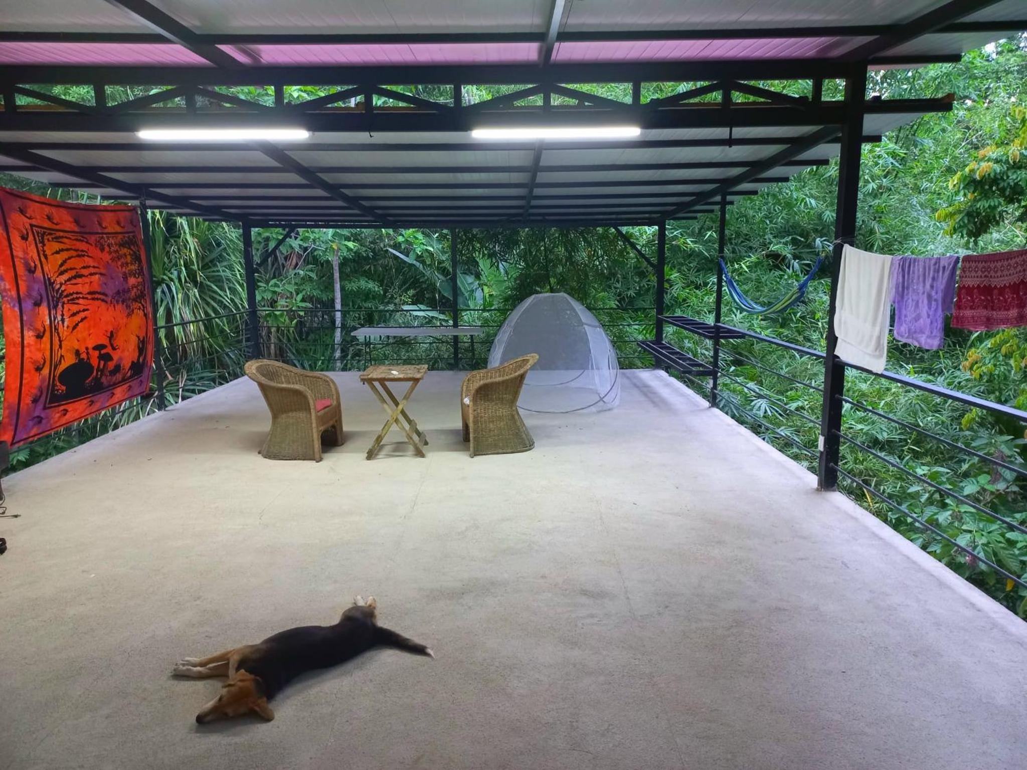 Villa Los Altos - Private Tree Suite Roof Top walk to Playa Chiquita