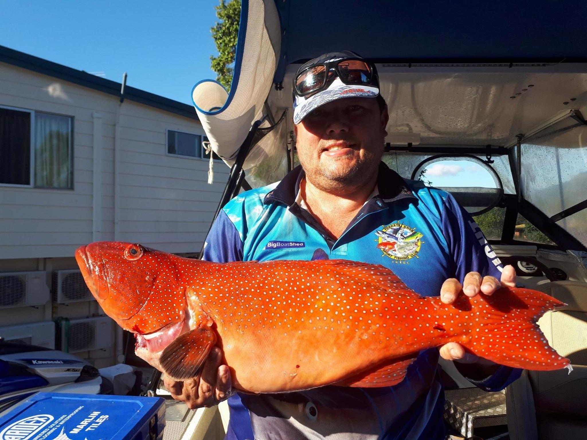 Kurrimine Fishing Haven - Pet Friendly