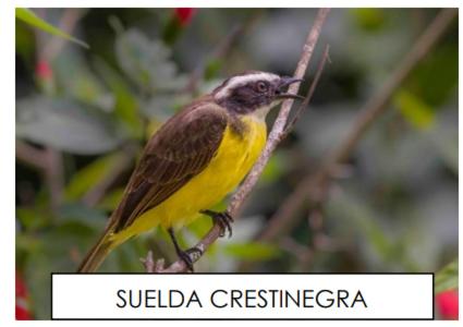 Finca Durango Circasia