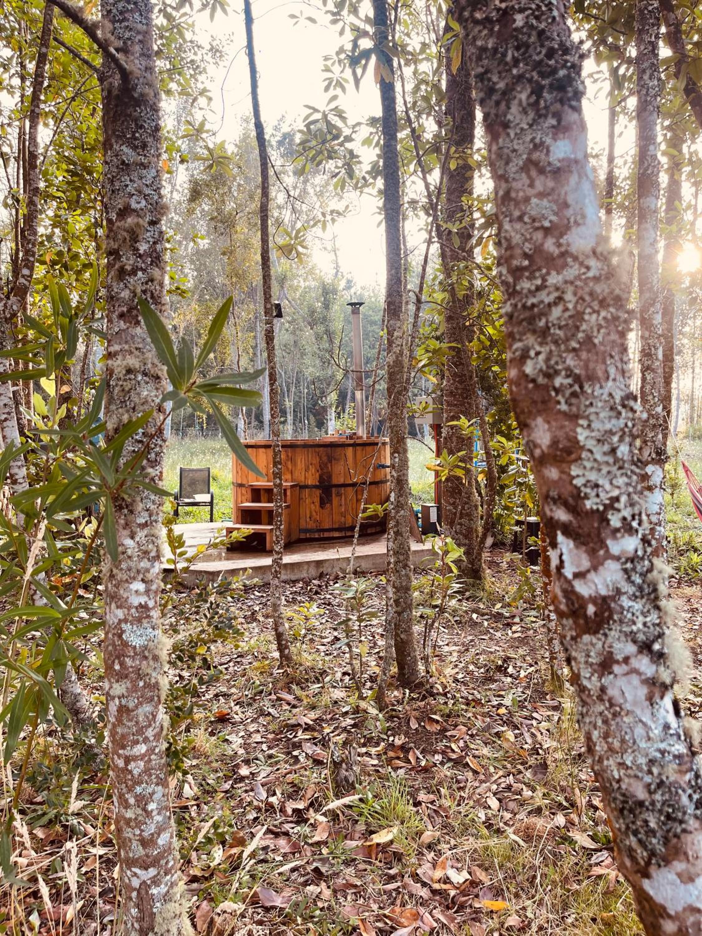Casa en el bosque-tinaja