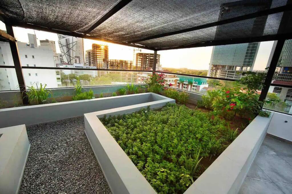 roof