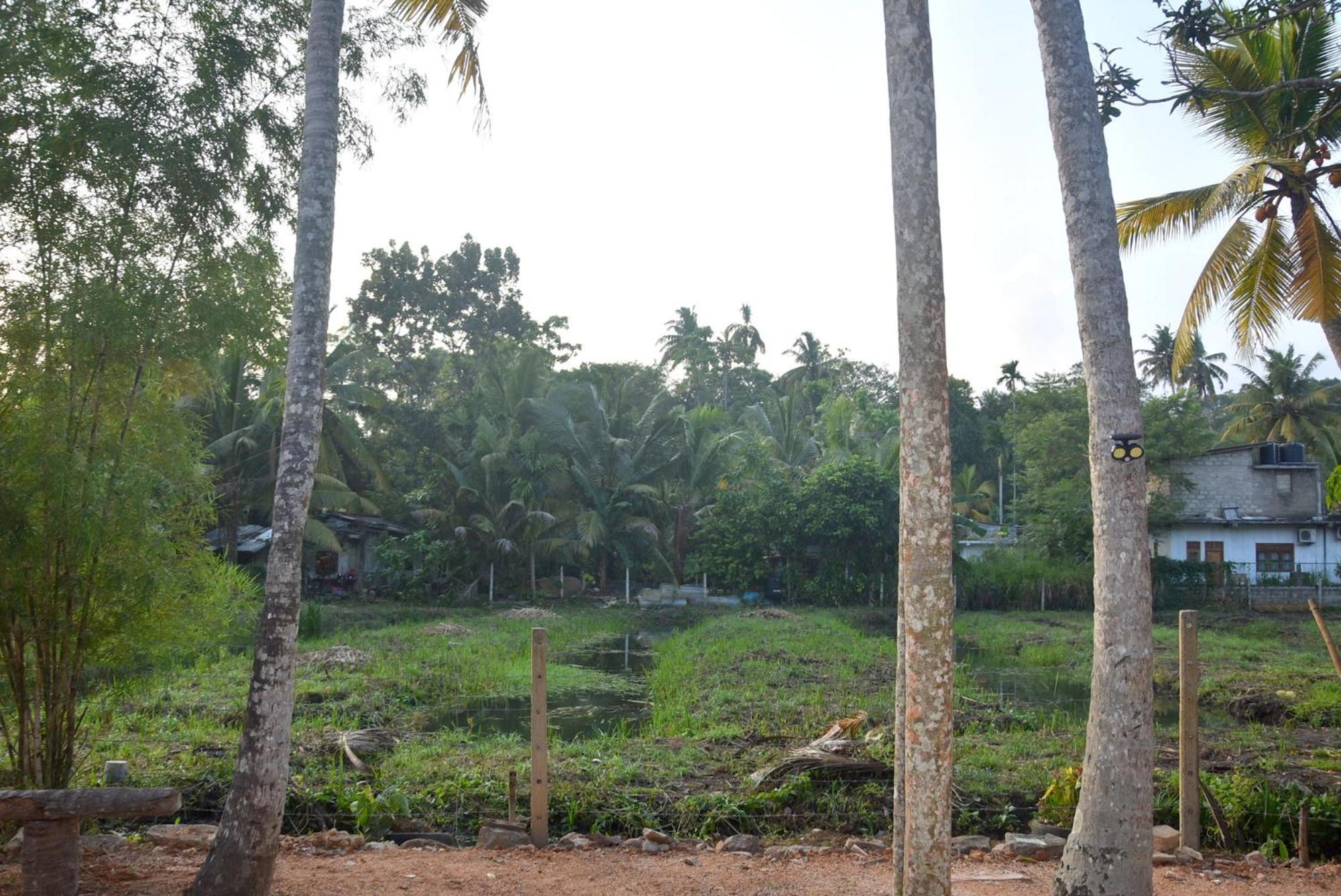 Villa Weligama Gedara