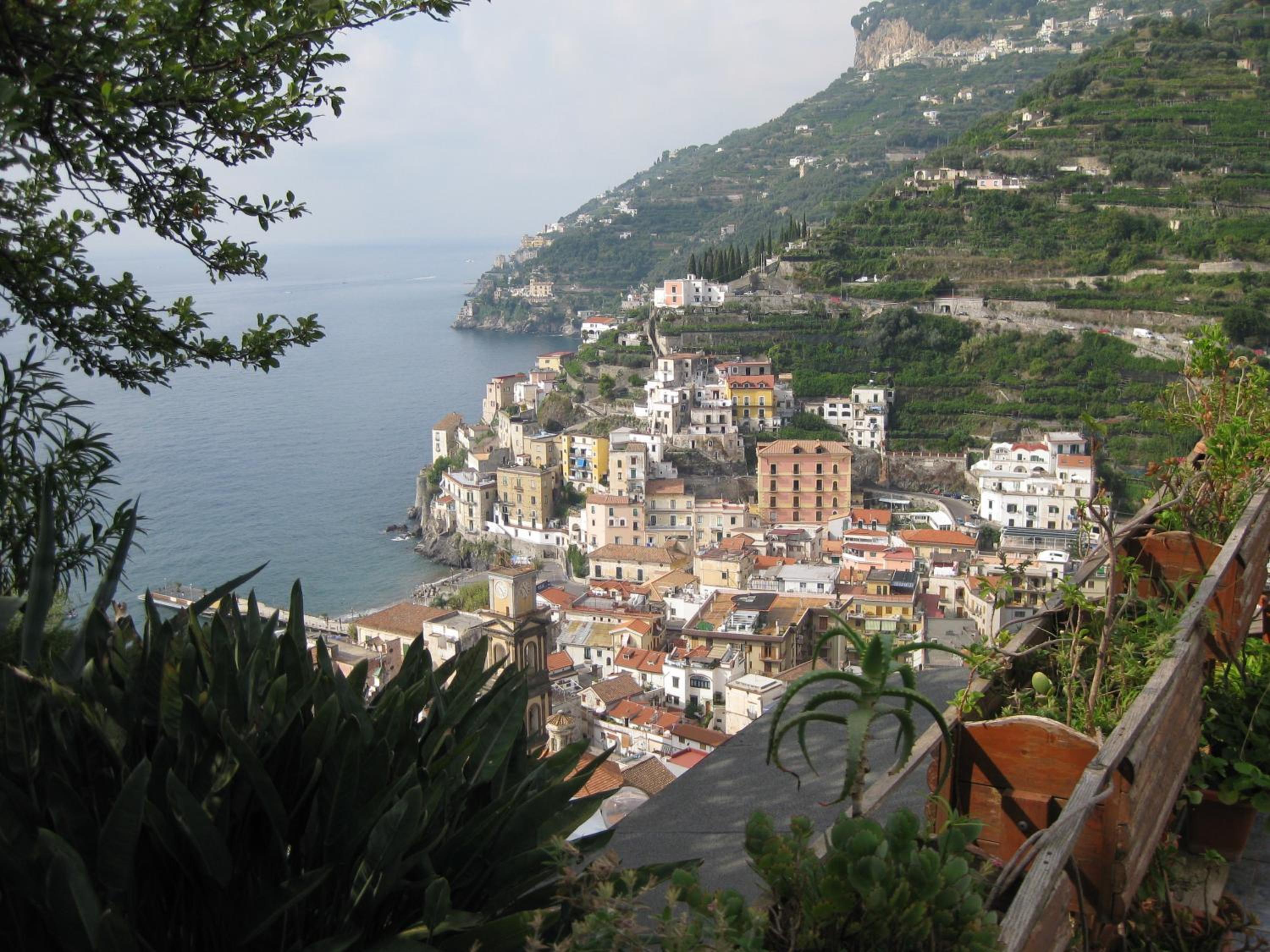 Photo 7