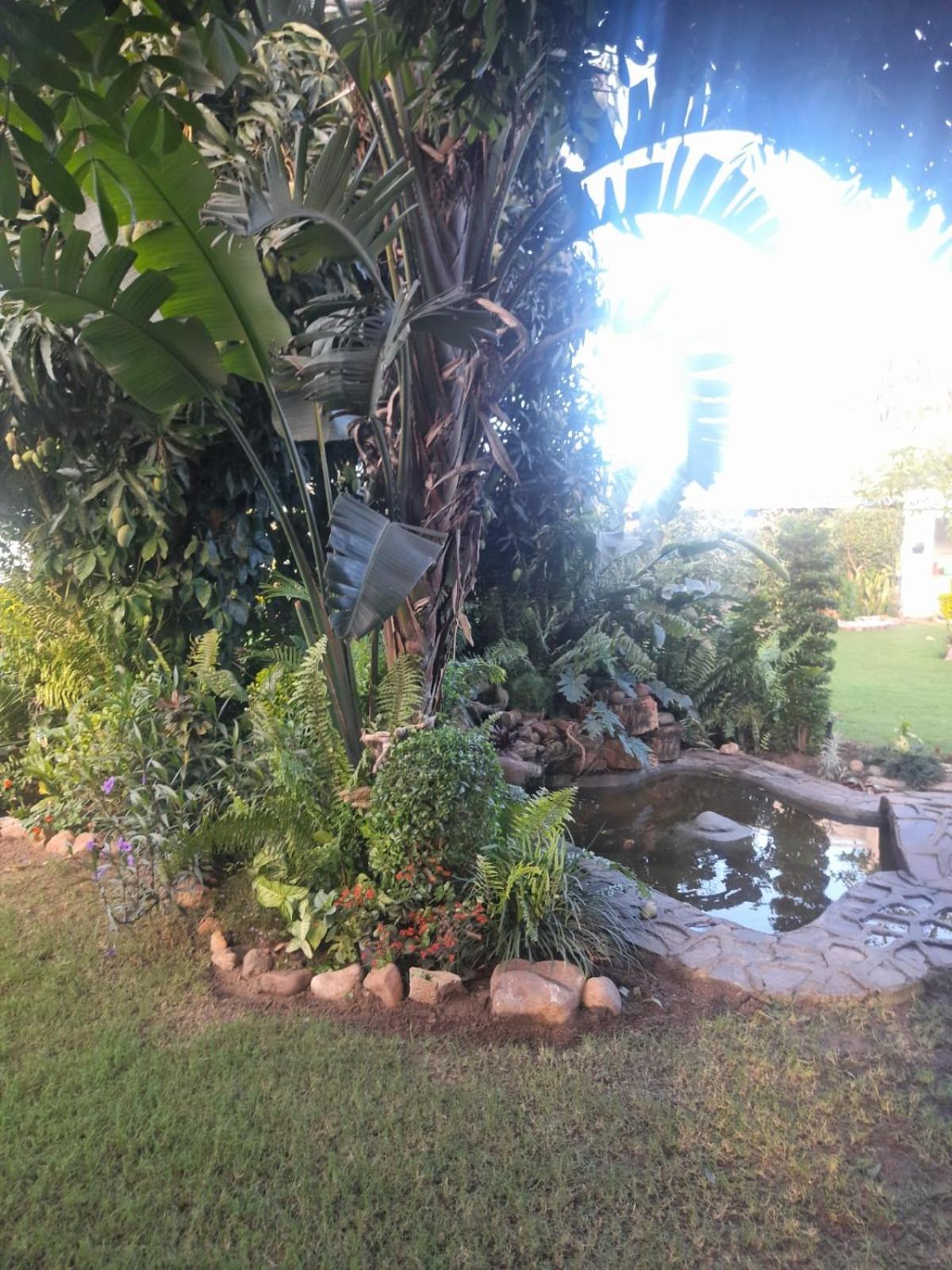 Photo 25