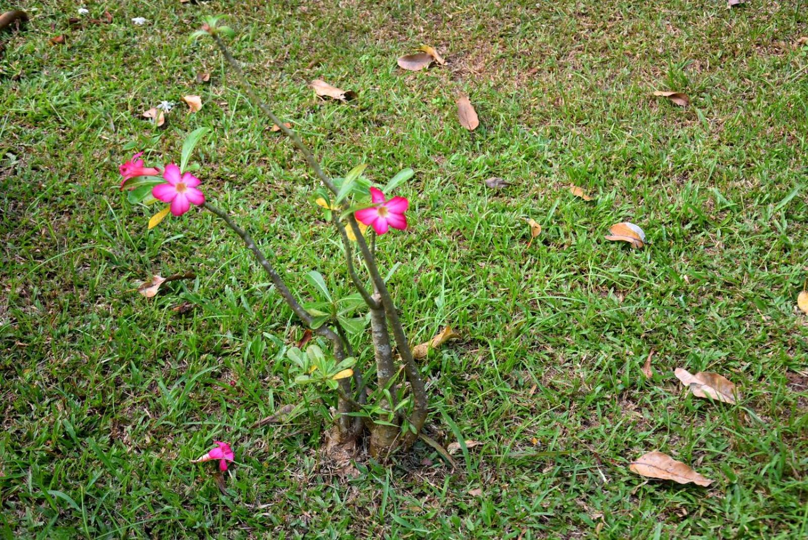 Photo 6